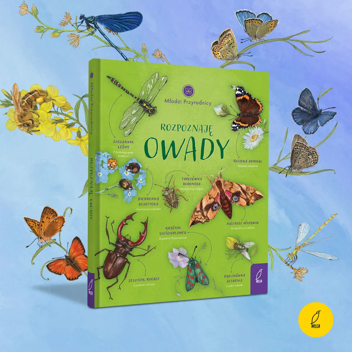 rozpoznaje_owady_1200_B.jpg