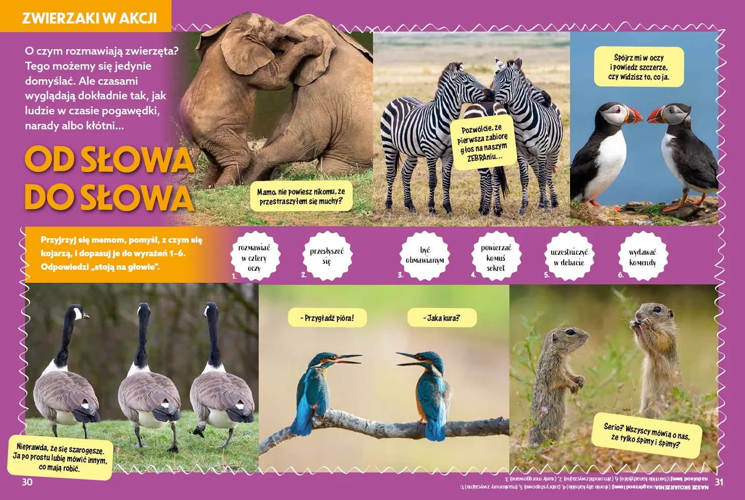 30-31 zwierzaki w akcji.png