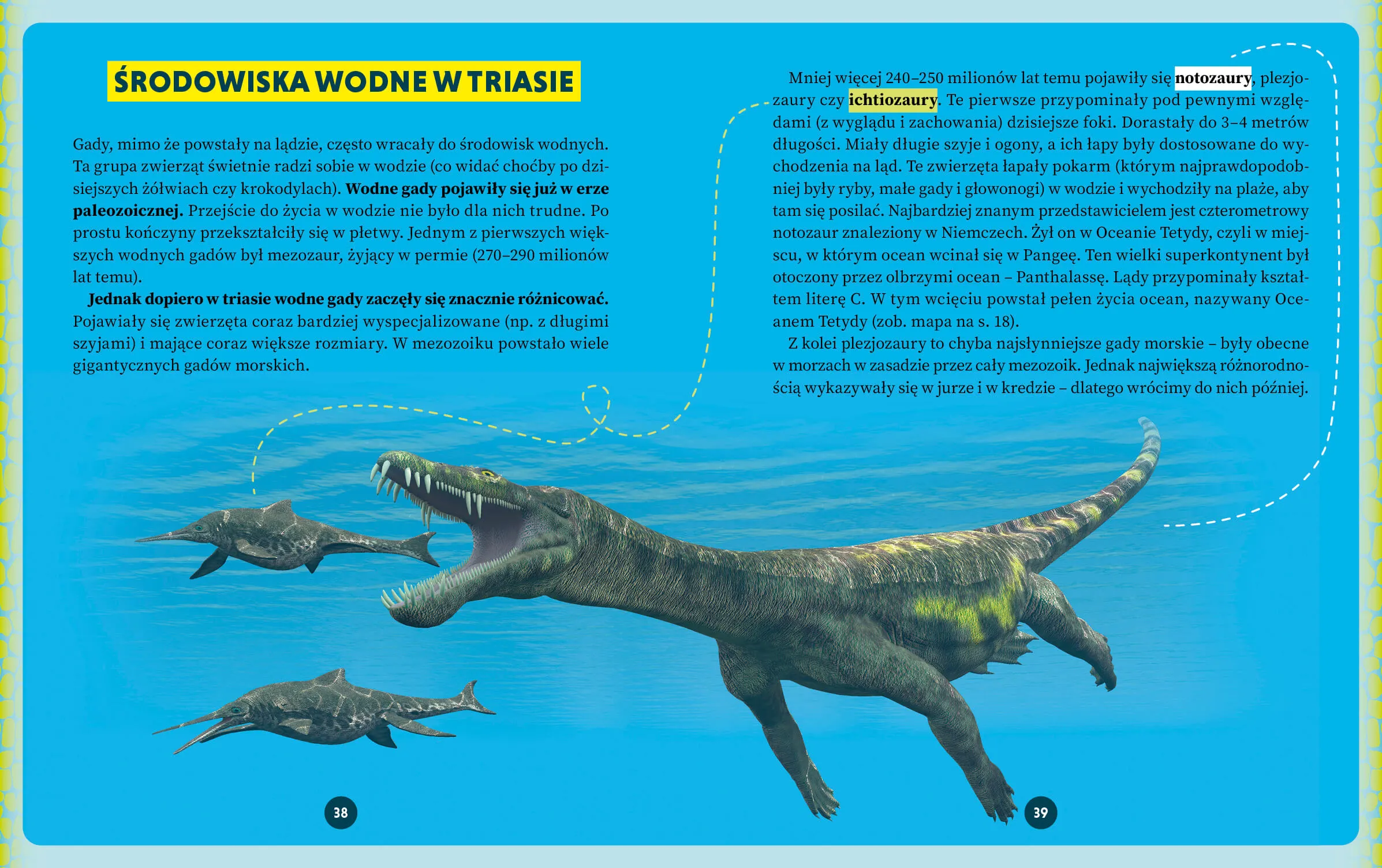 M0867_Dinozaury i wielkie ssaki_srodek_3.jpg