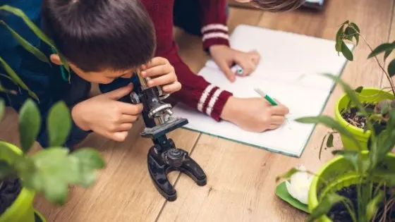 projekty edukacyjne.jpg