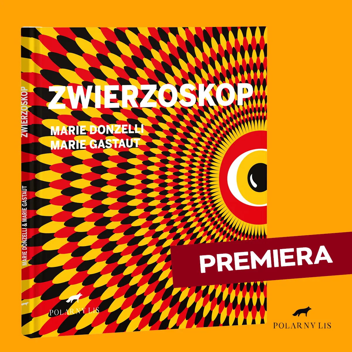 zwierzoskop_swierszczyk2.jpg
