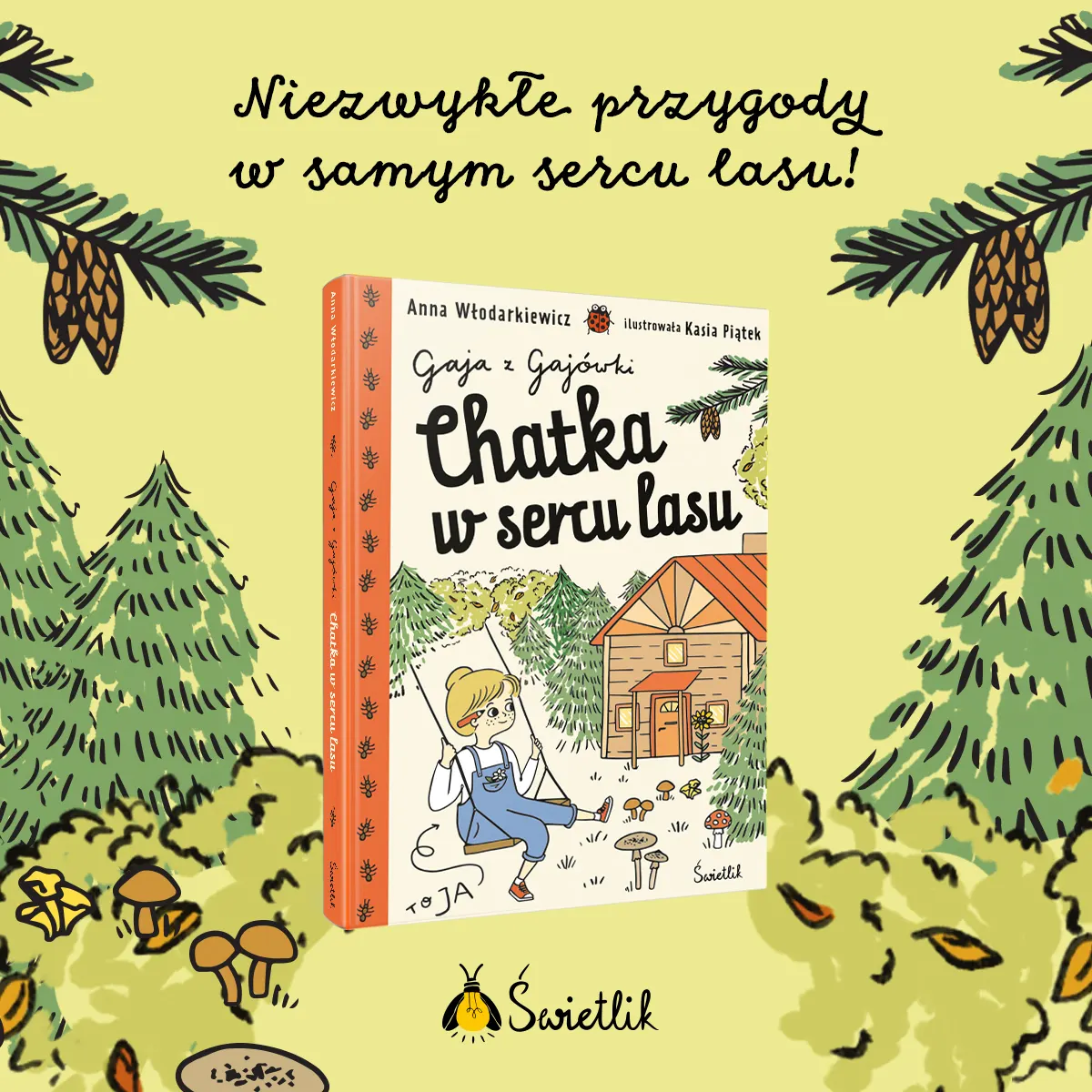 gaja_grafika2.jpg