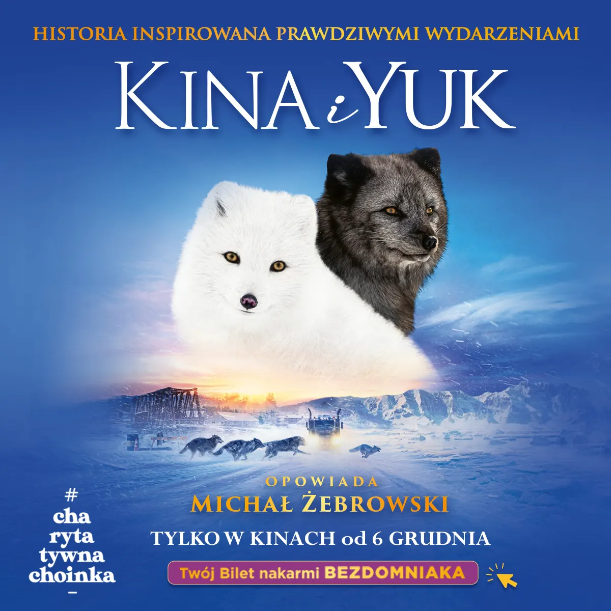 KiY_kwadrat-A-data-P.jpg