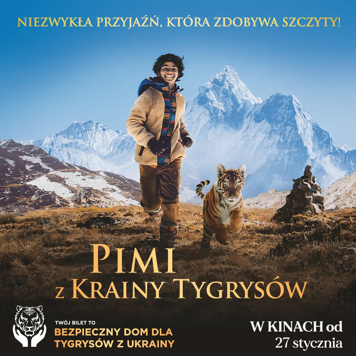 Pimi_1200x1200_do-zapowiedzi_v2.jpg