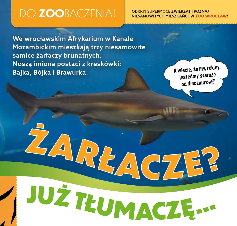 zoo.png