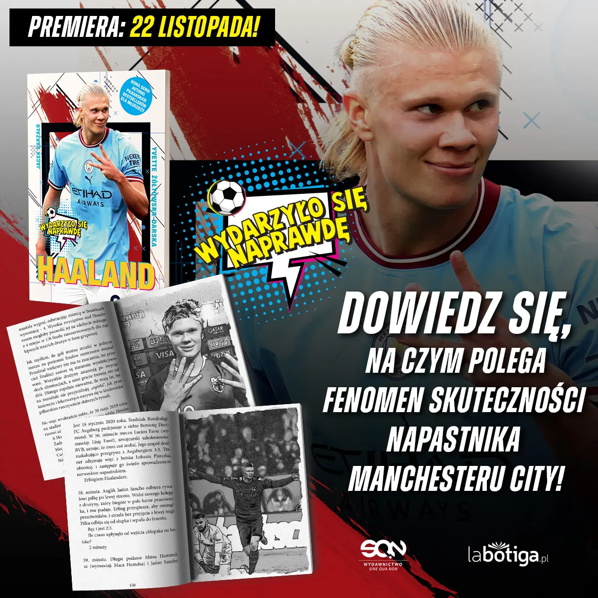 banner_Haaland_Evette_swierszczyk_1200x1200px.jpg