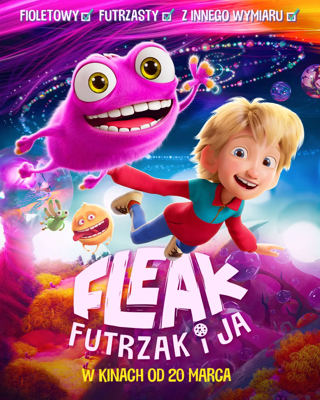 Niesamowite przygody skarpetek PLAKAT online.jpg