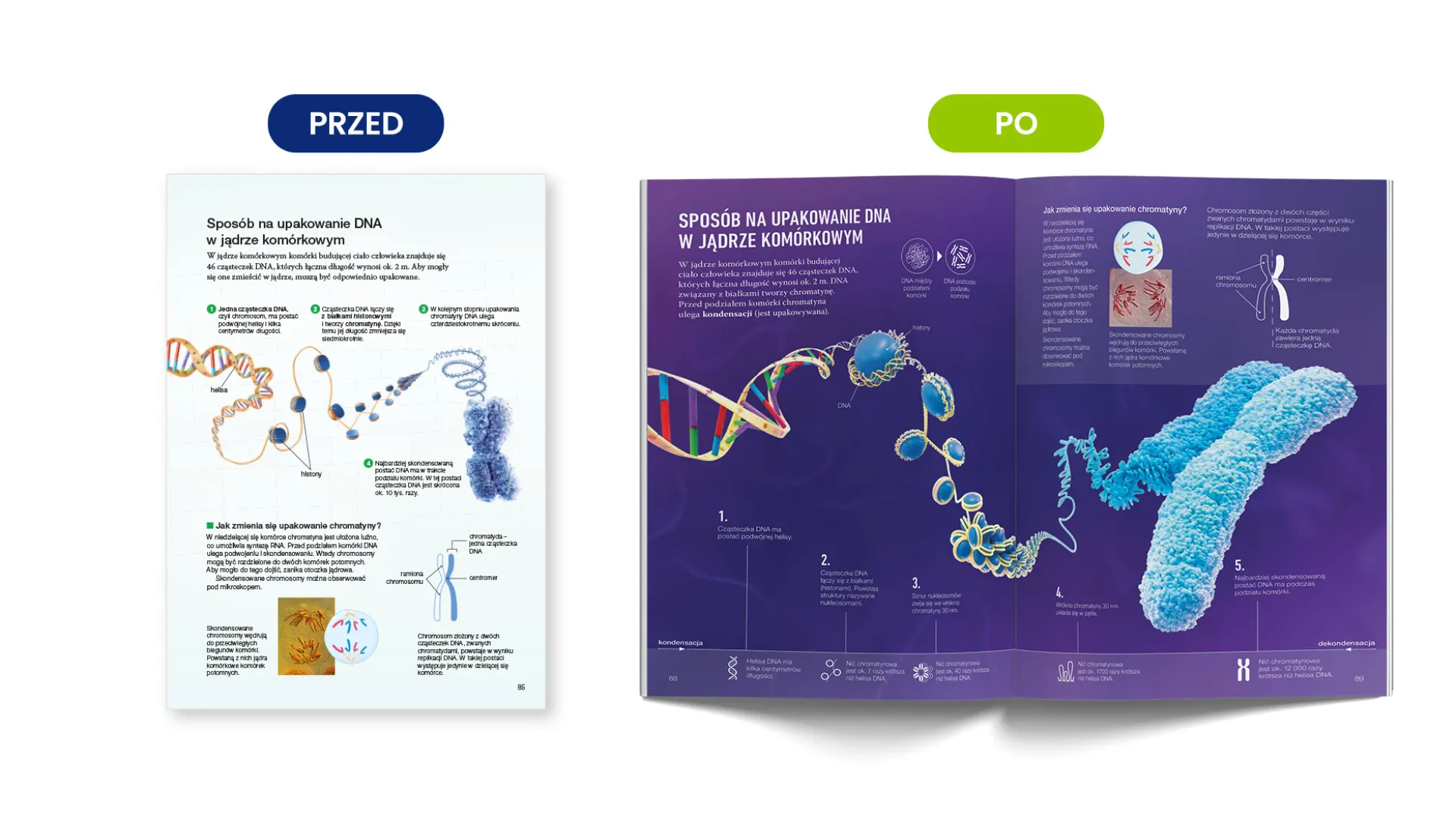 NOWA Biologia na czasie - zakres podstawowy