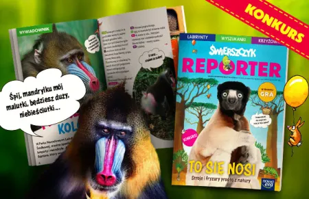 Świerszczyk Reporter