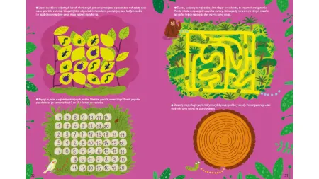 Owady, papugi, dzięcioły