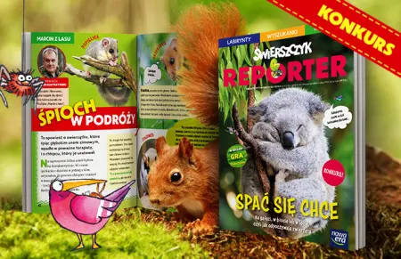 Świerszczyk Reporter