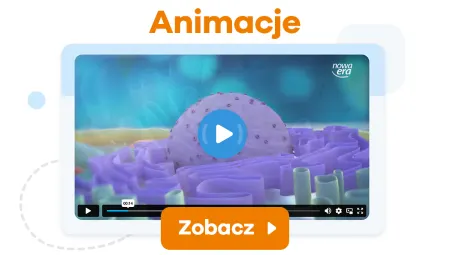 Zobacz animacje