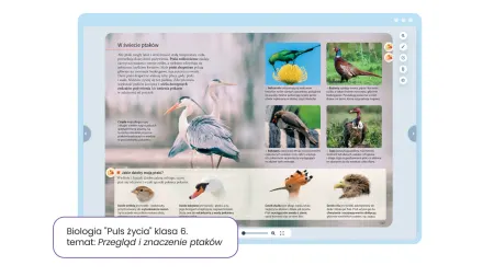 Biologia Puls życia