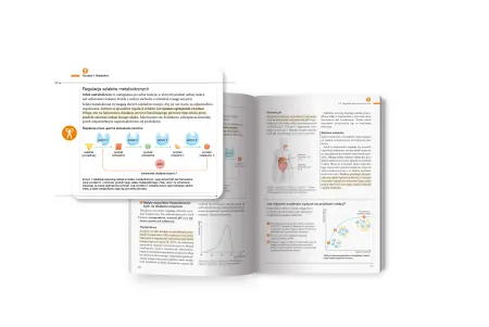 Spójny i precyzyjny system oznaczeń we wszystkich klasach i przedmiotach.