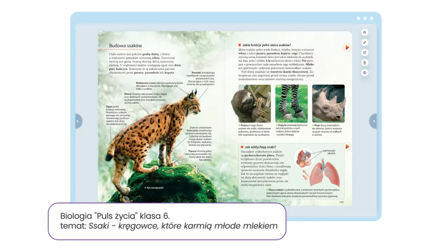 Biologia Puls życia