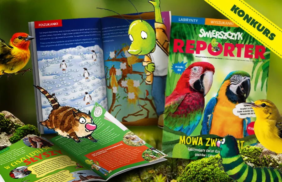 Okładka najnowszego numeru „Świerszczyk Reporter”