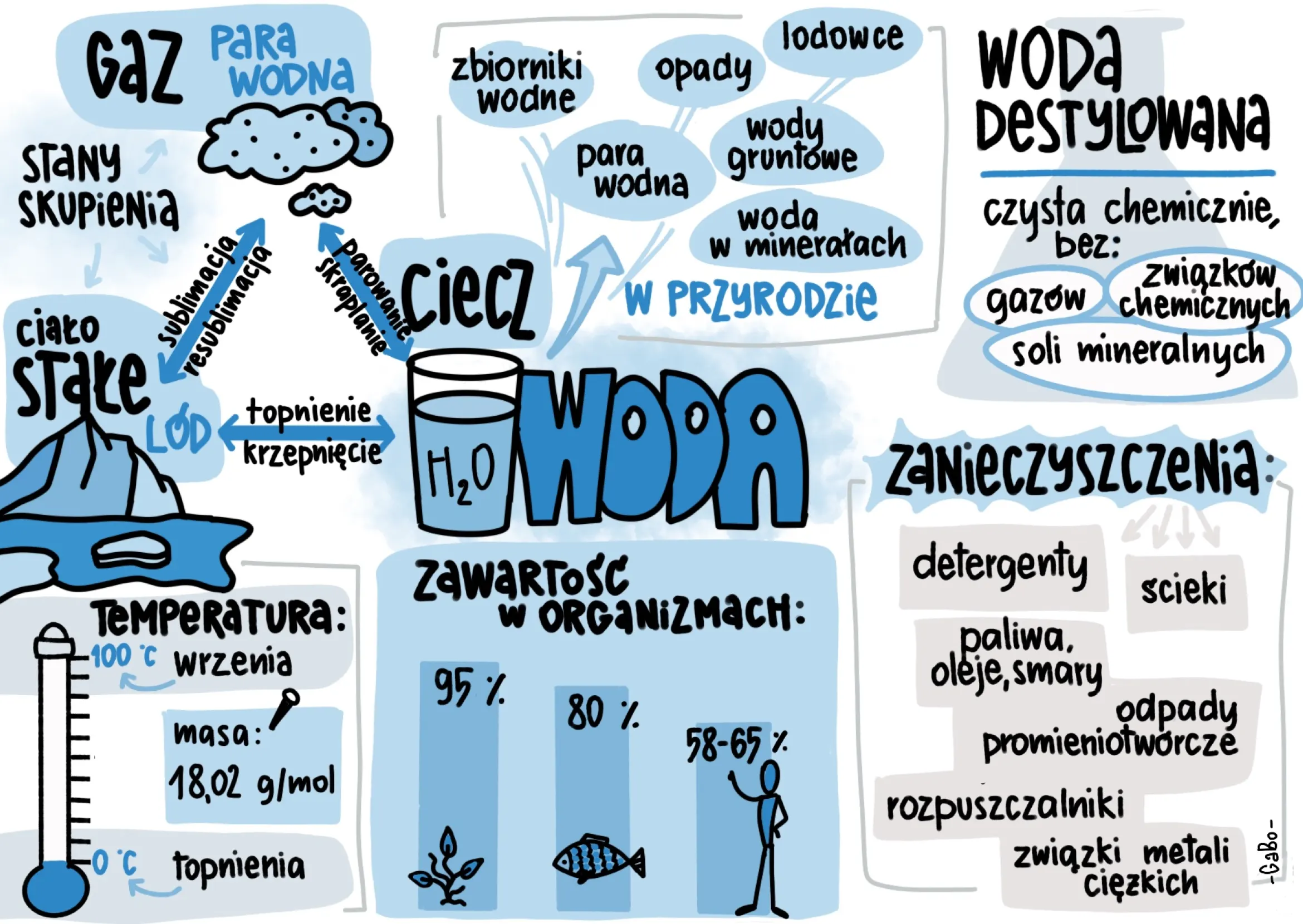 Przykładowa sketchnotka z chemii na temat wody.