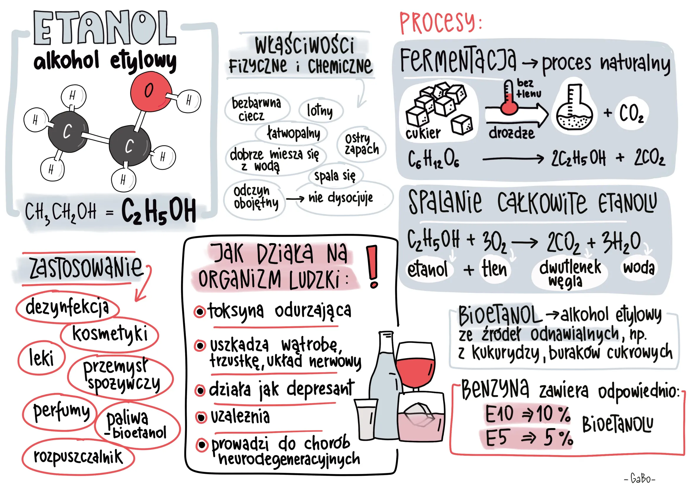 przykład notatki graficznej na temat etanolu