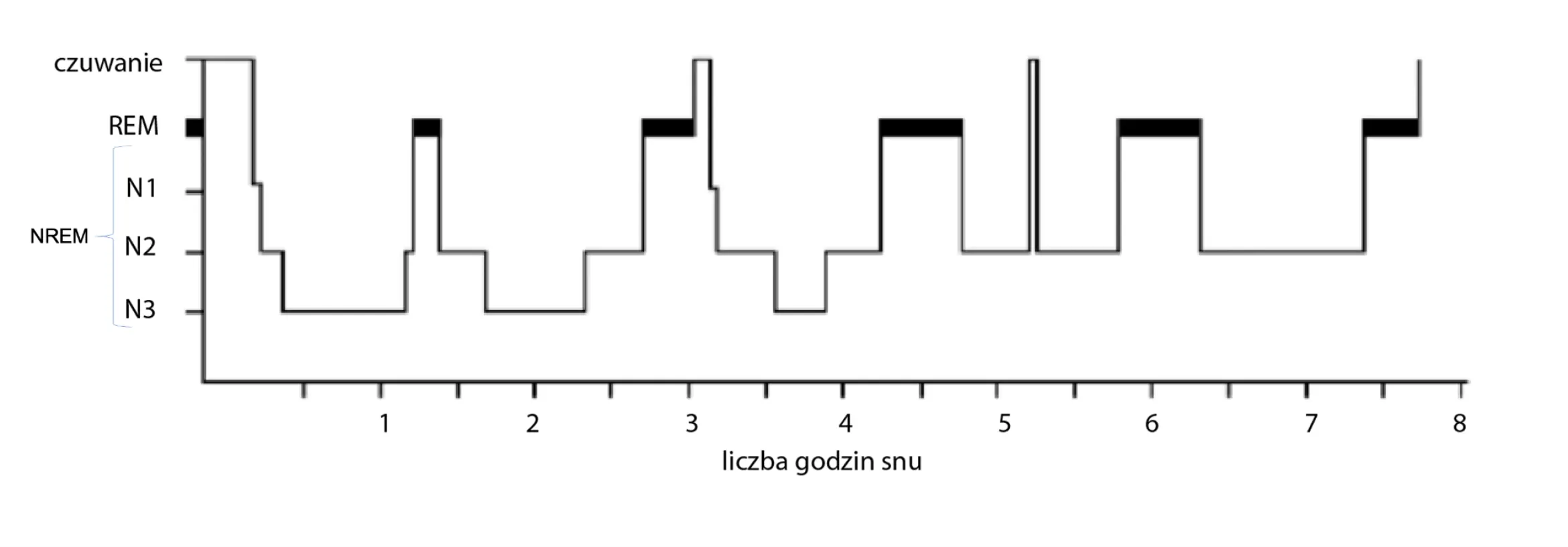 schematyczny wykres architektury snu