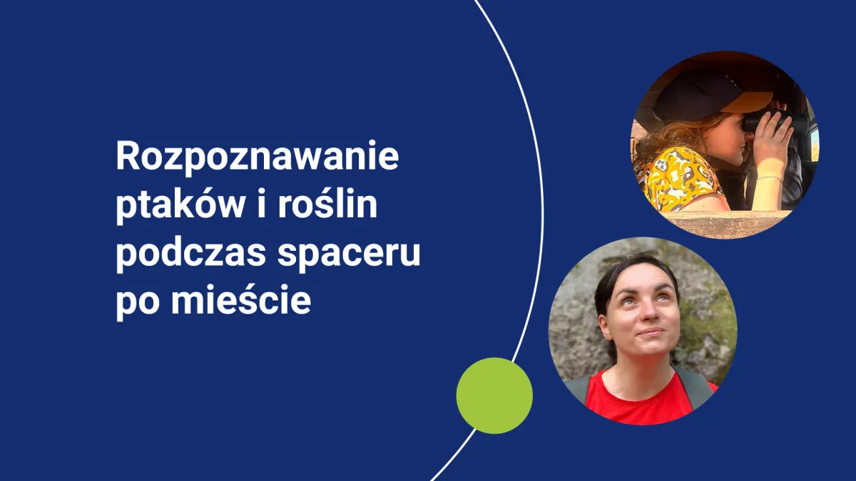Rozpoznawanie ptaków i roślin podczas spaceru po mieście